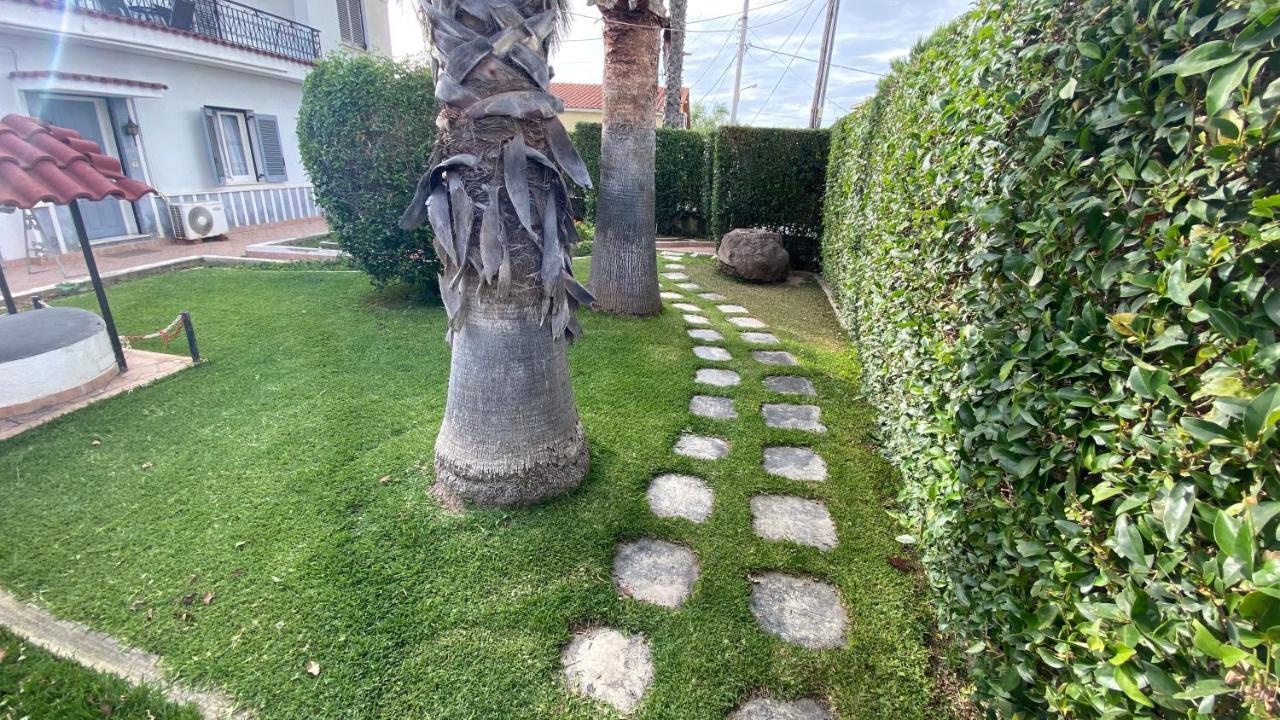 Patras Palm Tree Διαμέρισμα Εξωτερικό φωτογραφία