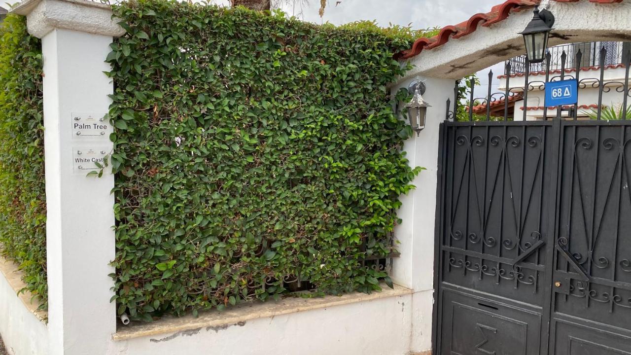 Patras Palm Tree Διαμέρισμα Εξωτερικό φωτογραφία