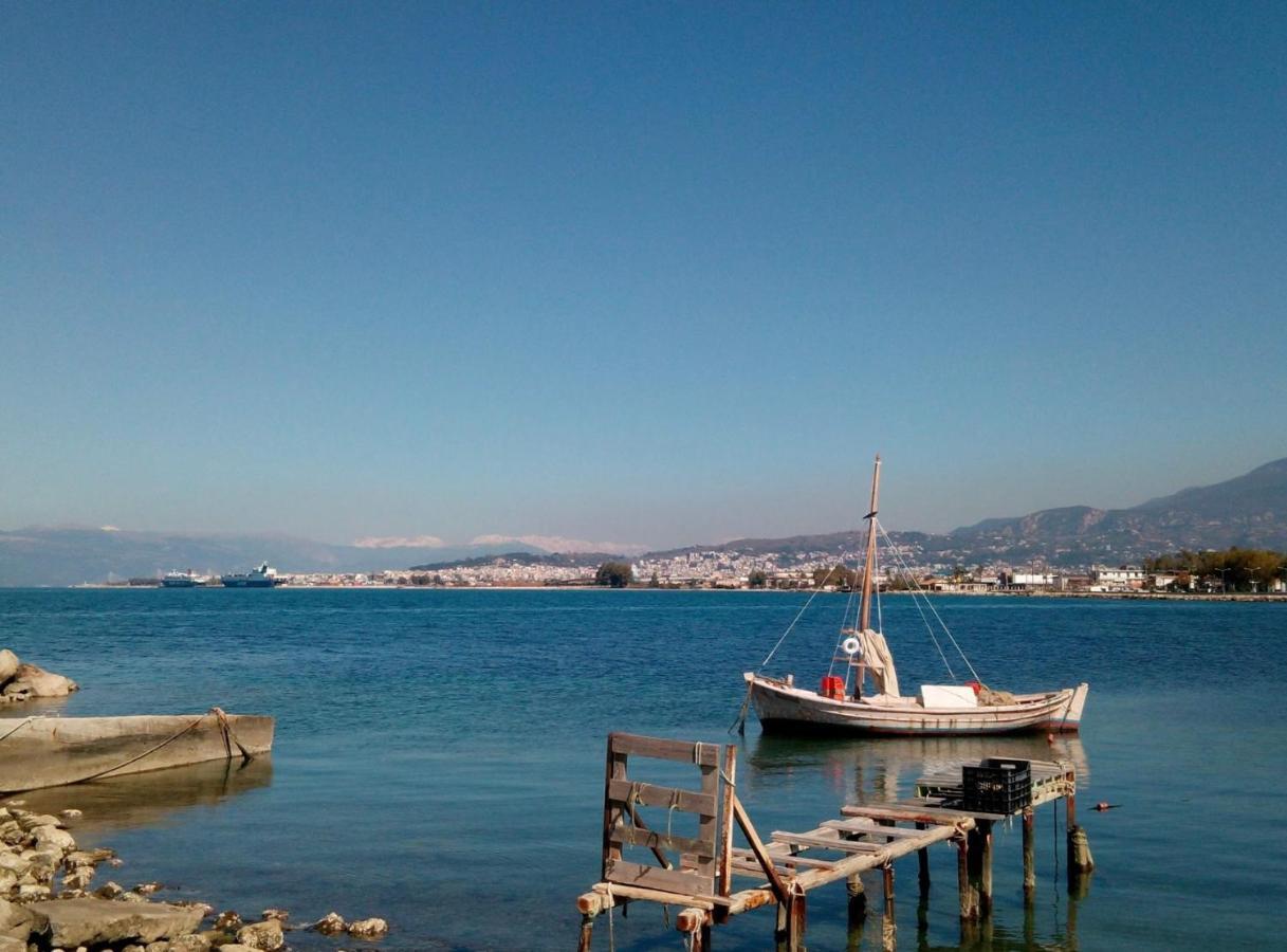 Patras Palm Tree Διαμέρισμα Εξωτερικό φωτογραφία