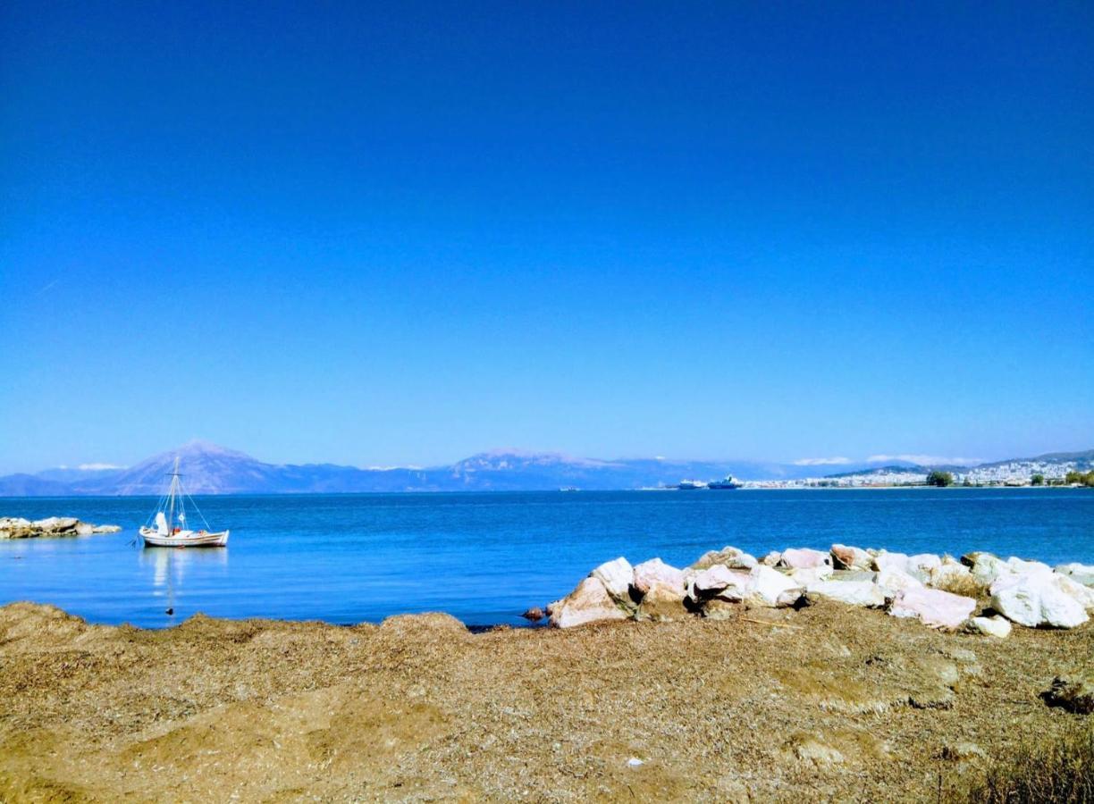Patras Palm Tree Διαμέρισμα Εξωτερικό φωτογραφία