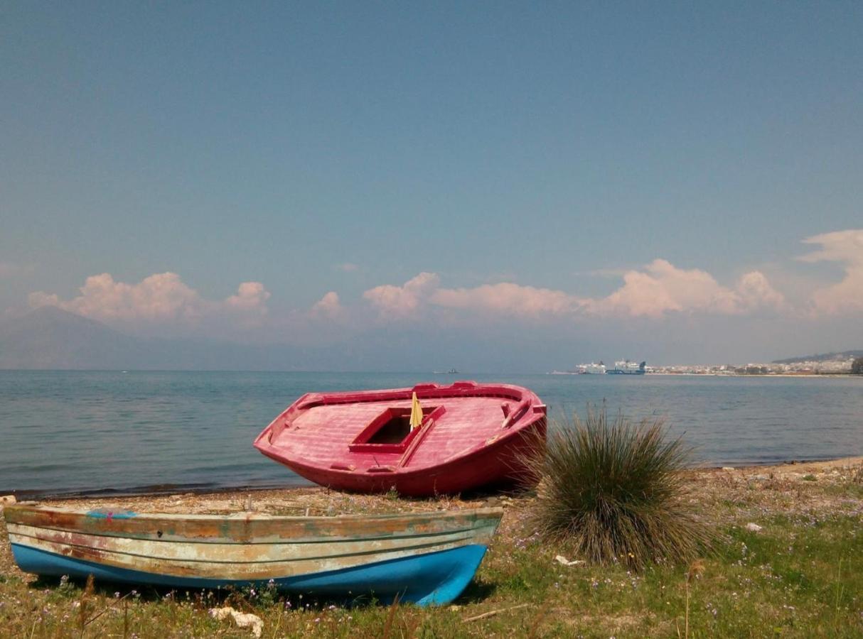 Patras Palm Tree Διαμέρισμα Εξωτερικό φωτογραφία