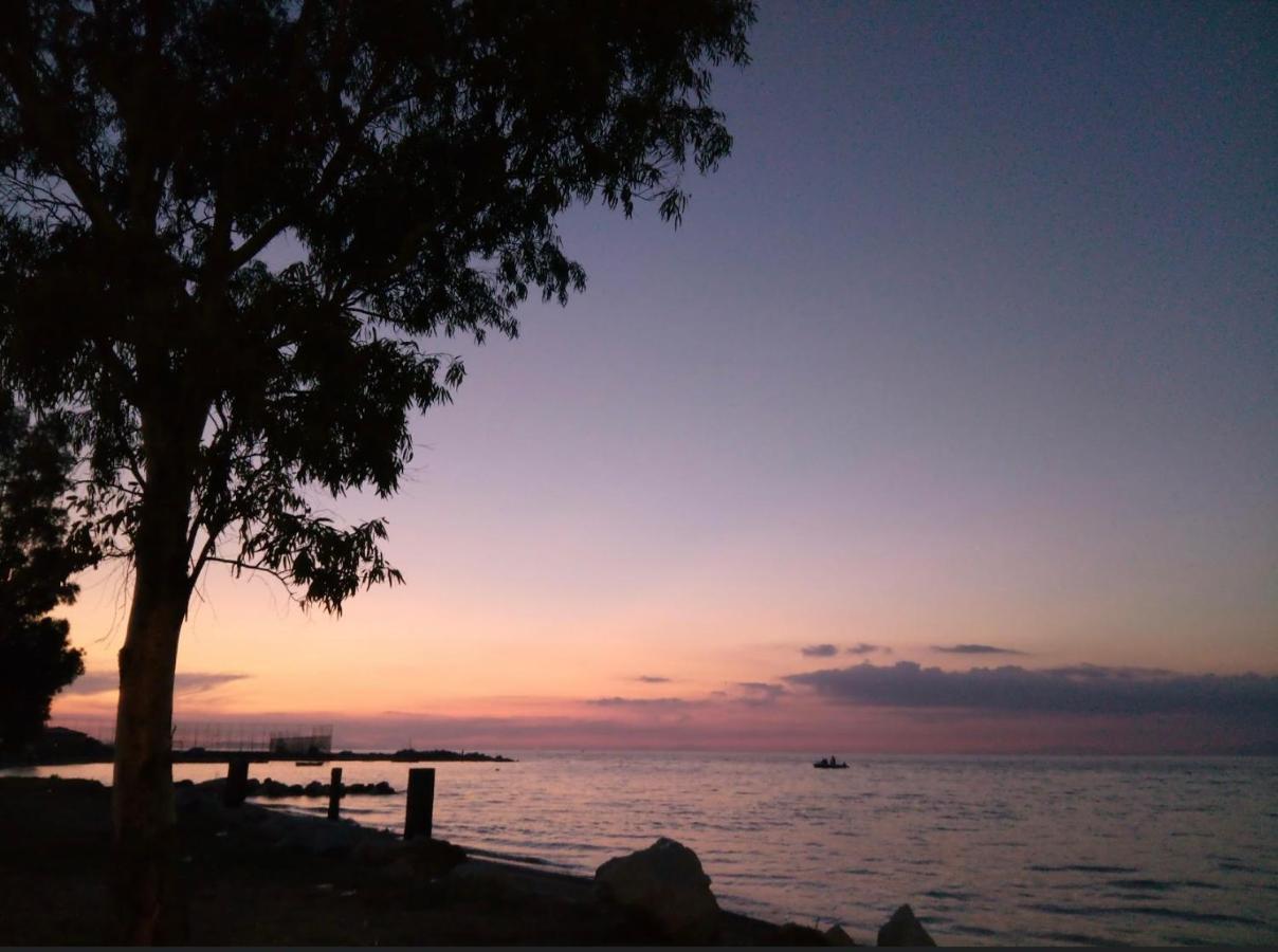 Patras Palm Tree Διαμέρισμα Εξωτερικό φωτογραφία